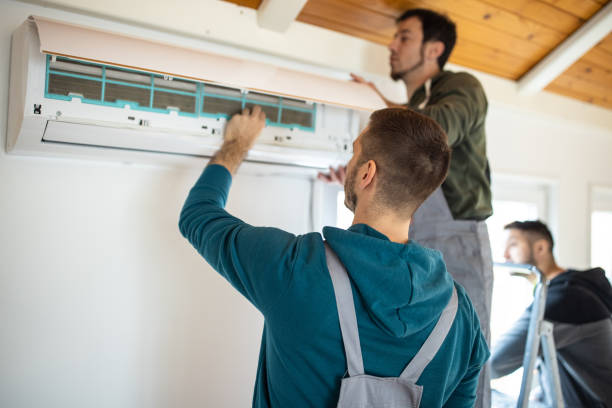 Best Furnace Cleaning in Roanoke, IL